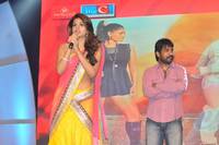 Rey Movie Audio Function Photos